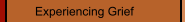 Experiencing Grief