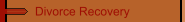Divorce Recovery
