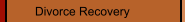 Divorce Recovery