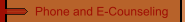 Phone and E-Counseling