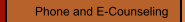 Phone and E-Counseling